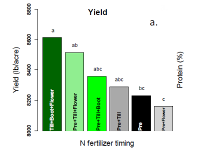 Mark Lundy : Calibrating In-field Diagnostic Tools to Improve Nitrogen Management for High Yield and High Protein Wheat in the Sacramento Valley